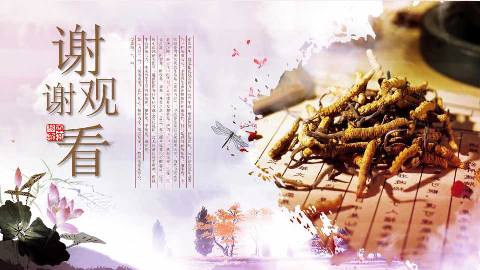 中医护理ppt模板