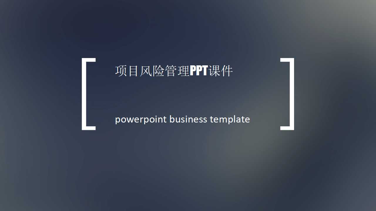 项目风险管理PPT课件