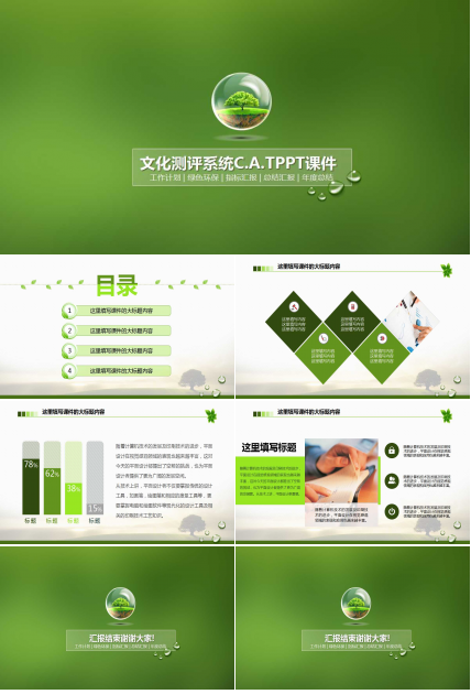 文化测评系统C.A.TPPT课件