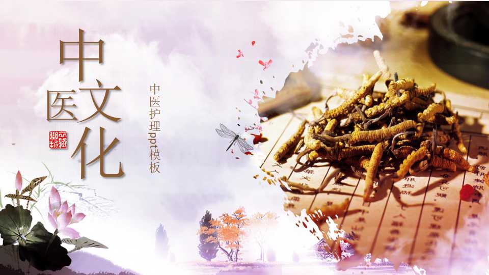 中医护理ppt模板