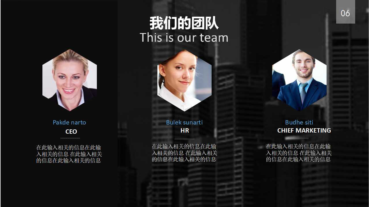 管理咨询项目管理的特点PPT课件