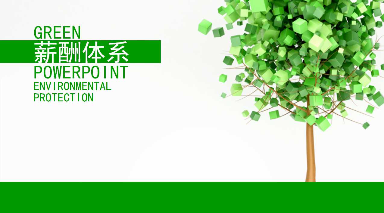 薪酬体系PPT课件一