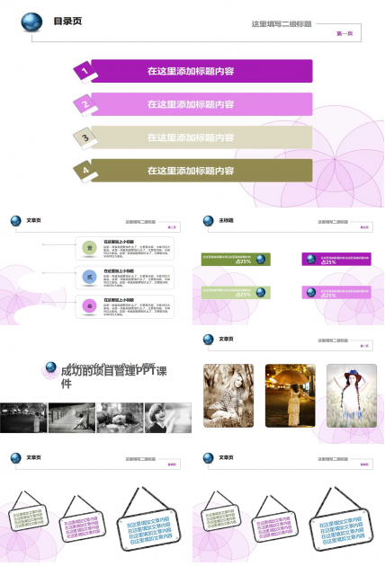 成功的项目管理PPT课件