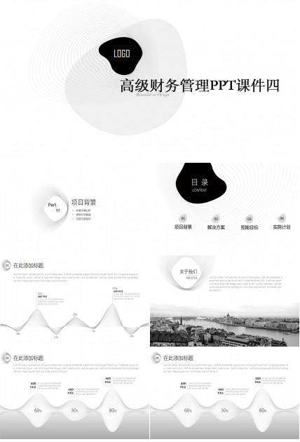 高级财务管理PPT课件四