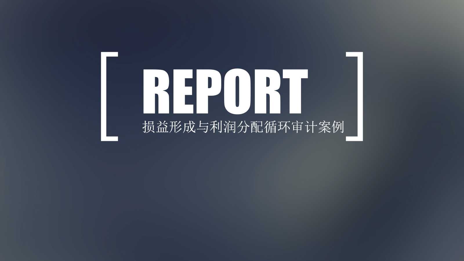 损益形成与利润分配循环审计案例PPT课件