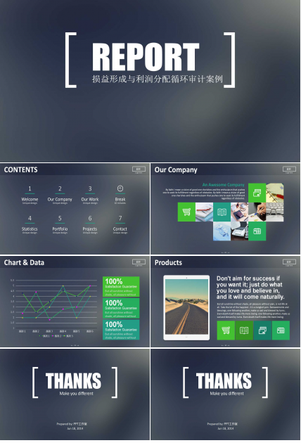 损益形成与利润分配循环审计案例PPT课件