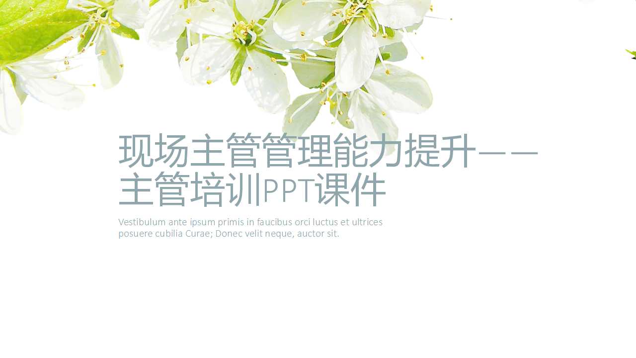 现场主管管理能力提升——主管培训PPT课件