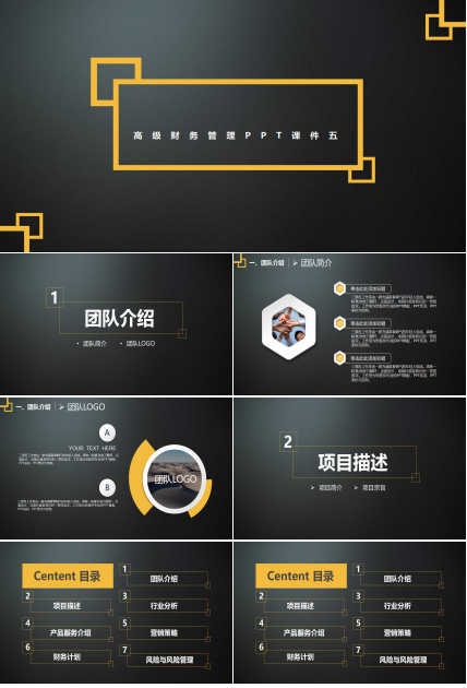 高级财务管理PPT课件五