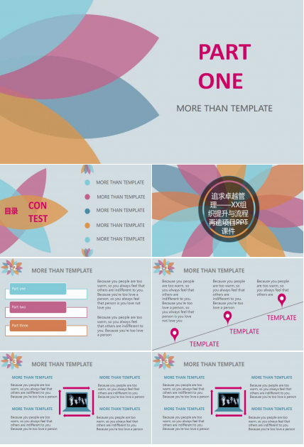 追求卓越管理——XX组织提升与流程再造项目PPT课件