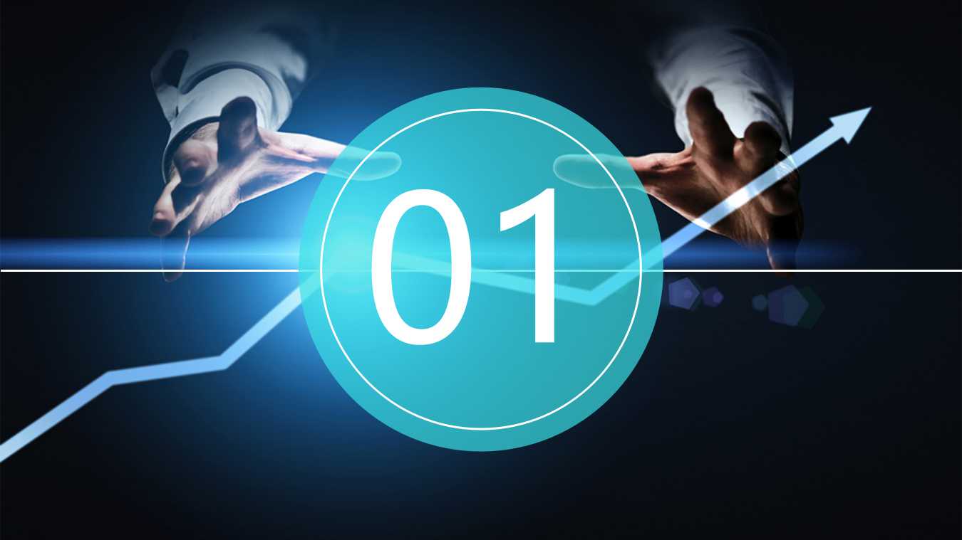 职业经理的十项管理技能训练PPT课件