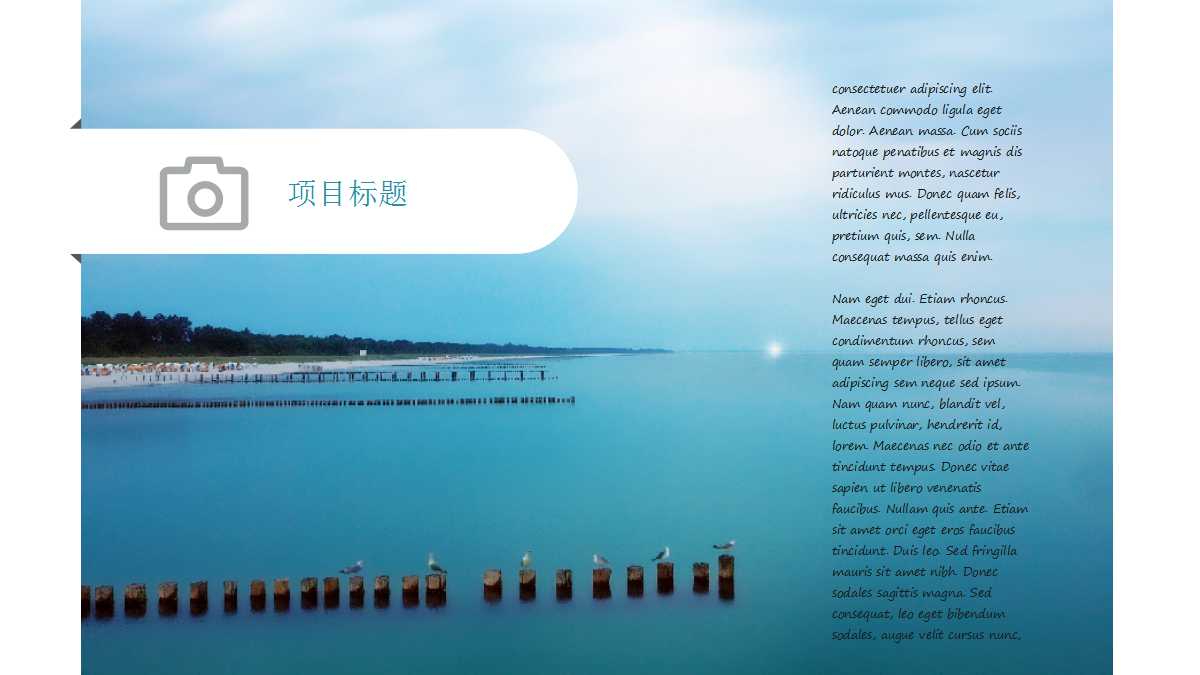 考核的内容和标准PPT课件