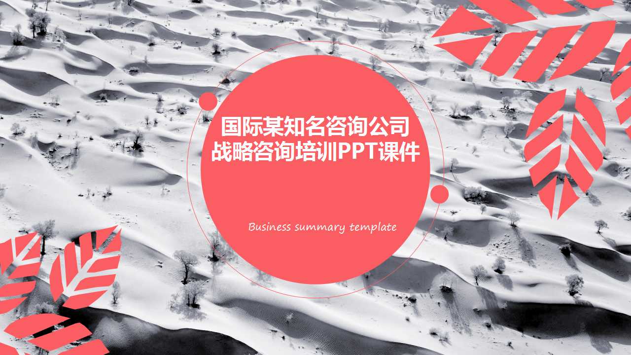 国际某知名咨询公司战略咨询培训PPT课件