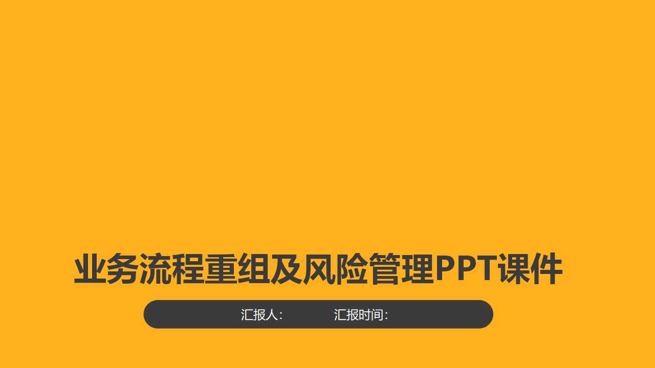 业务流程重组及风险管理PPT课件