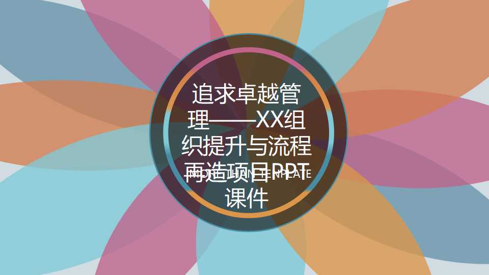 追求卓越管理——XX组织提升与流程再造项目PPT课件