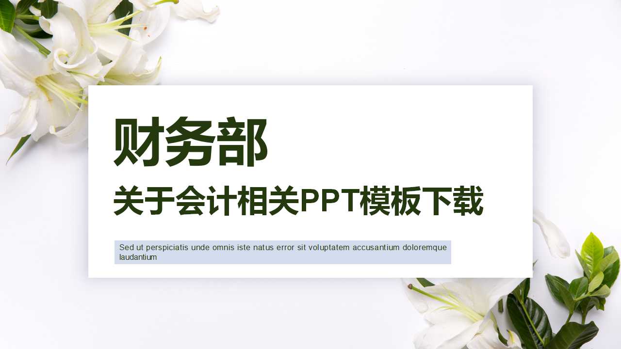 关于会计相关PPT模板下载