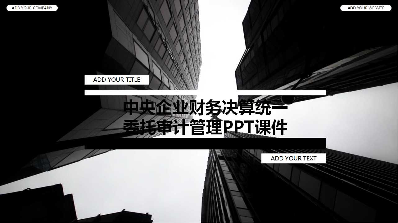中央企业财务决算统一委托审计管理PPT课件