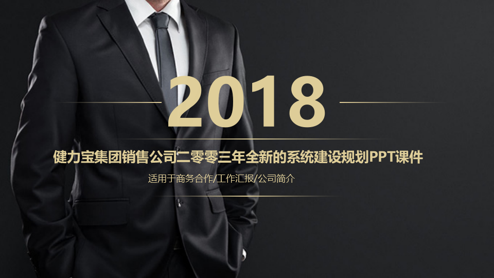 健力宝集团销售公司二零零三年全新的系统建设规划PPT课件