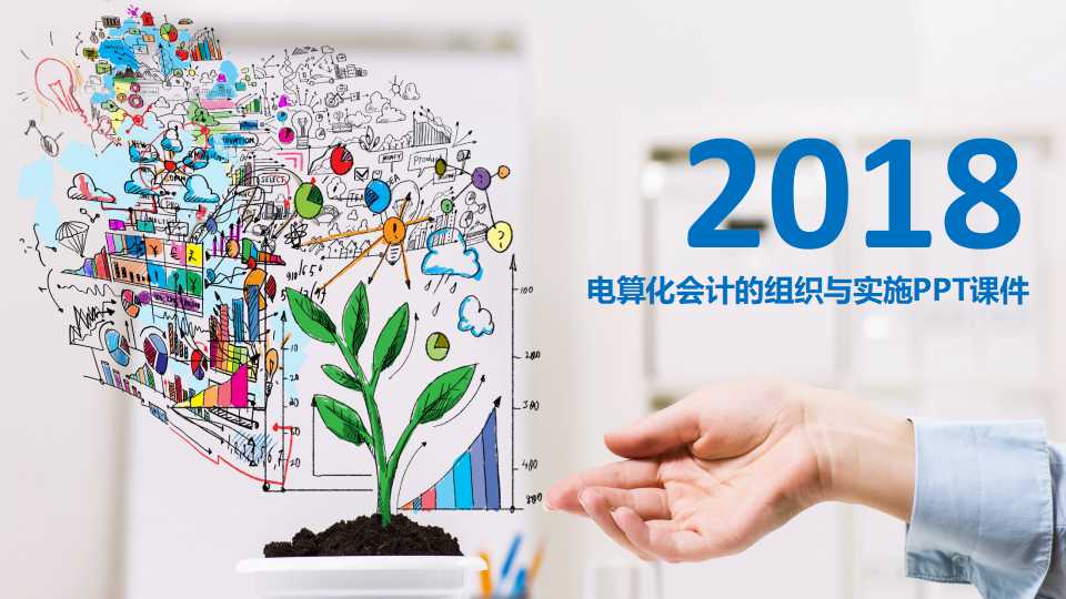 电算化会计的组织与实施PPT课件