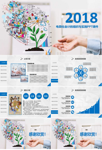 电算化会计的组织与实施PPT课件