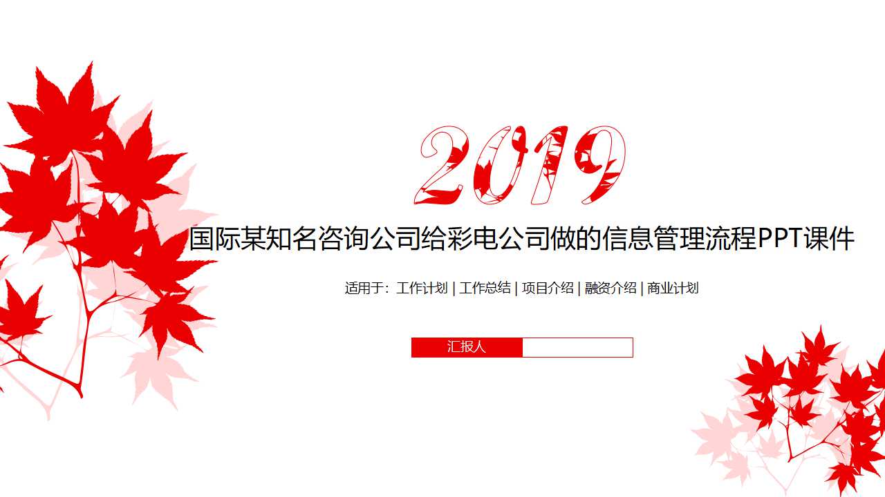 国际某知名咨询公司给彩电公司做的信息管理流程PPT课件