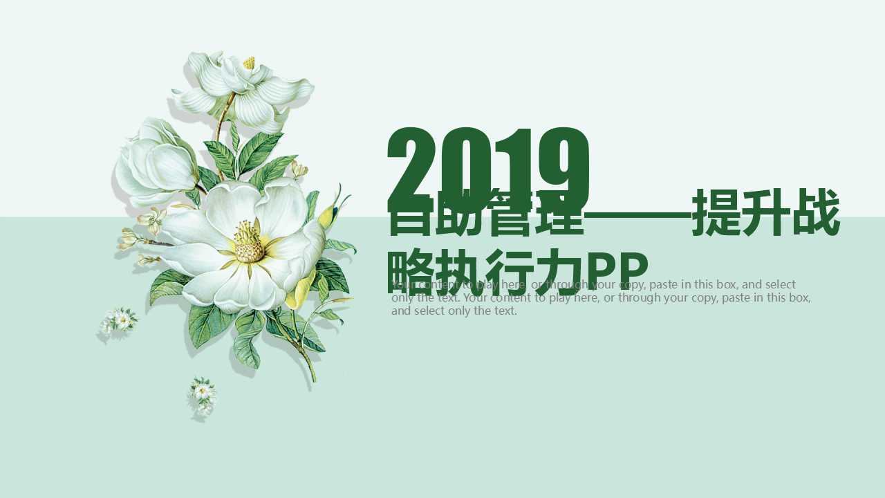 自助管理——提升战略执行力PPT课件二