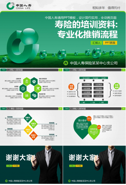 寿险的培训资料——专业化推销流程PPT课件