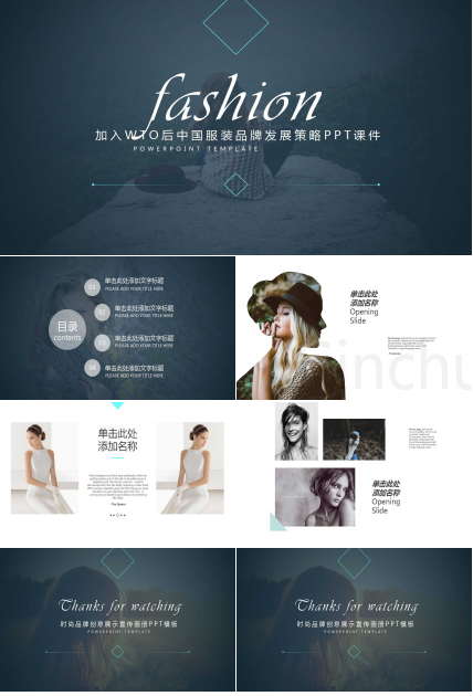 加入WTO后中国服装品牌发展策略PPT课件