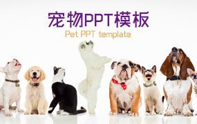 宠物ppt模板