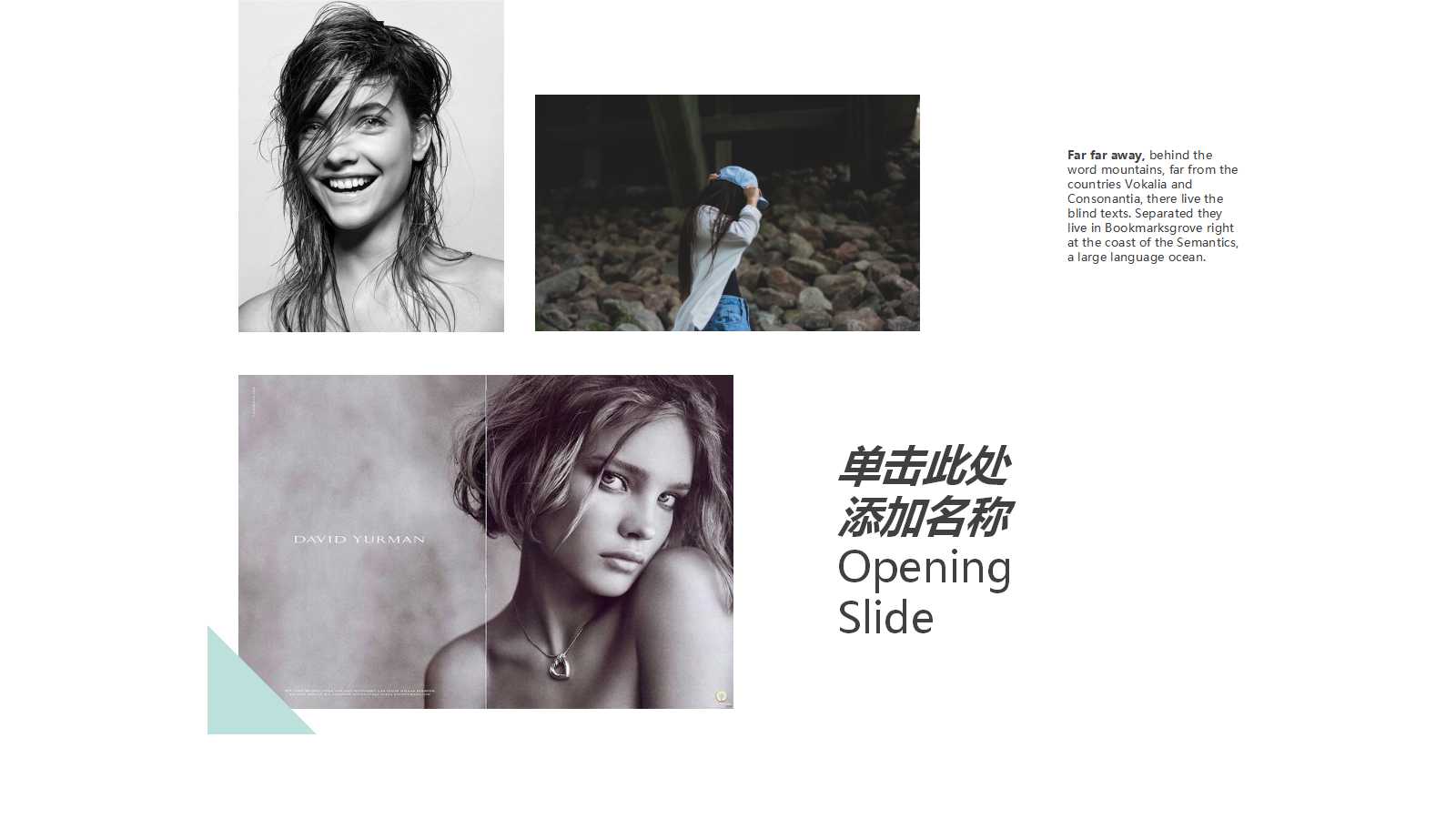 加入WTO后中国服装品牌发展策略PPT课件