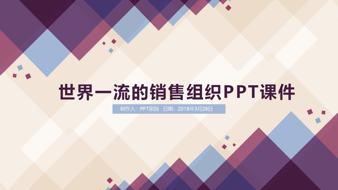 世界一流的销售组织PPT课件