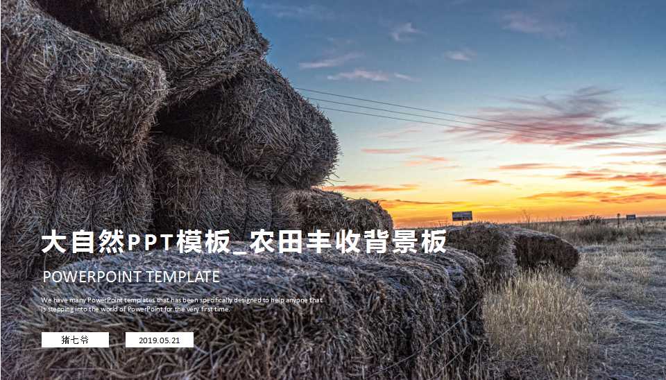大自然PPT模板_农田丰收背景