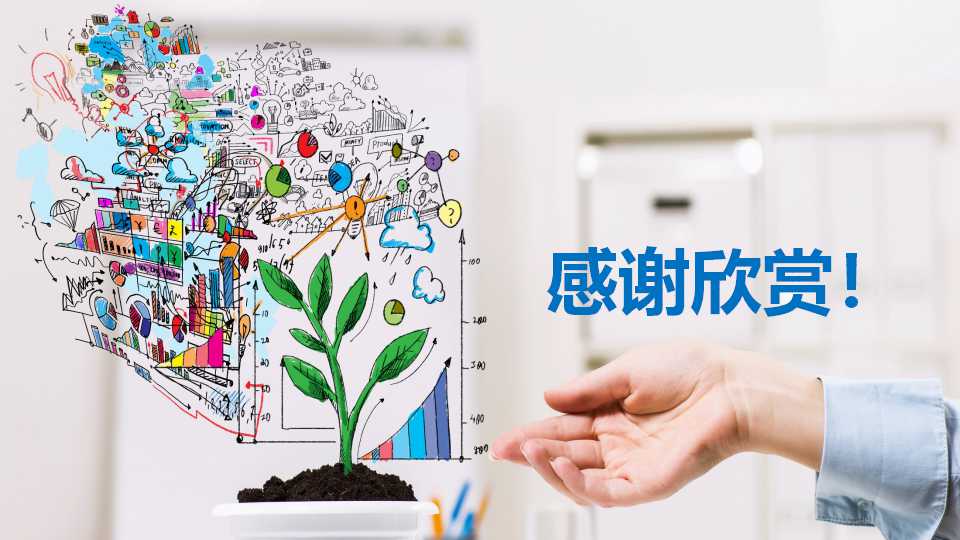 电算化会计的组织与实施PPT课件
