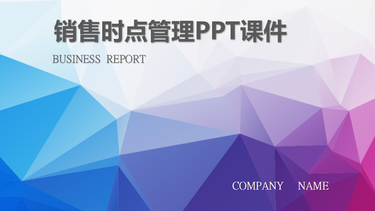 销售时点管理PPT课件