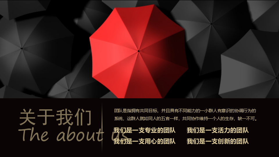 健力宝集团销售公司二零零三年全新的系统建设规划PPT课件