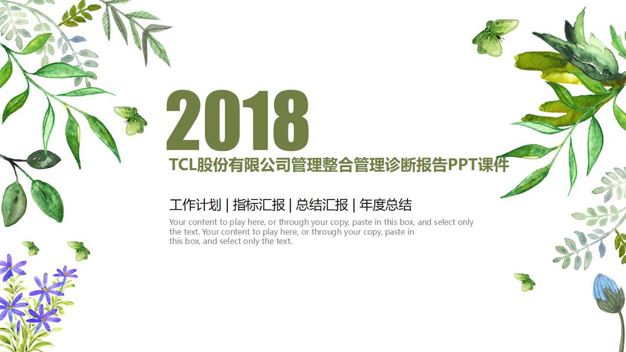 TCL股份有限公司管理整合管理诊断报告PPT课件