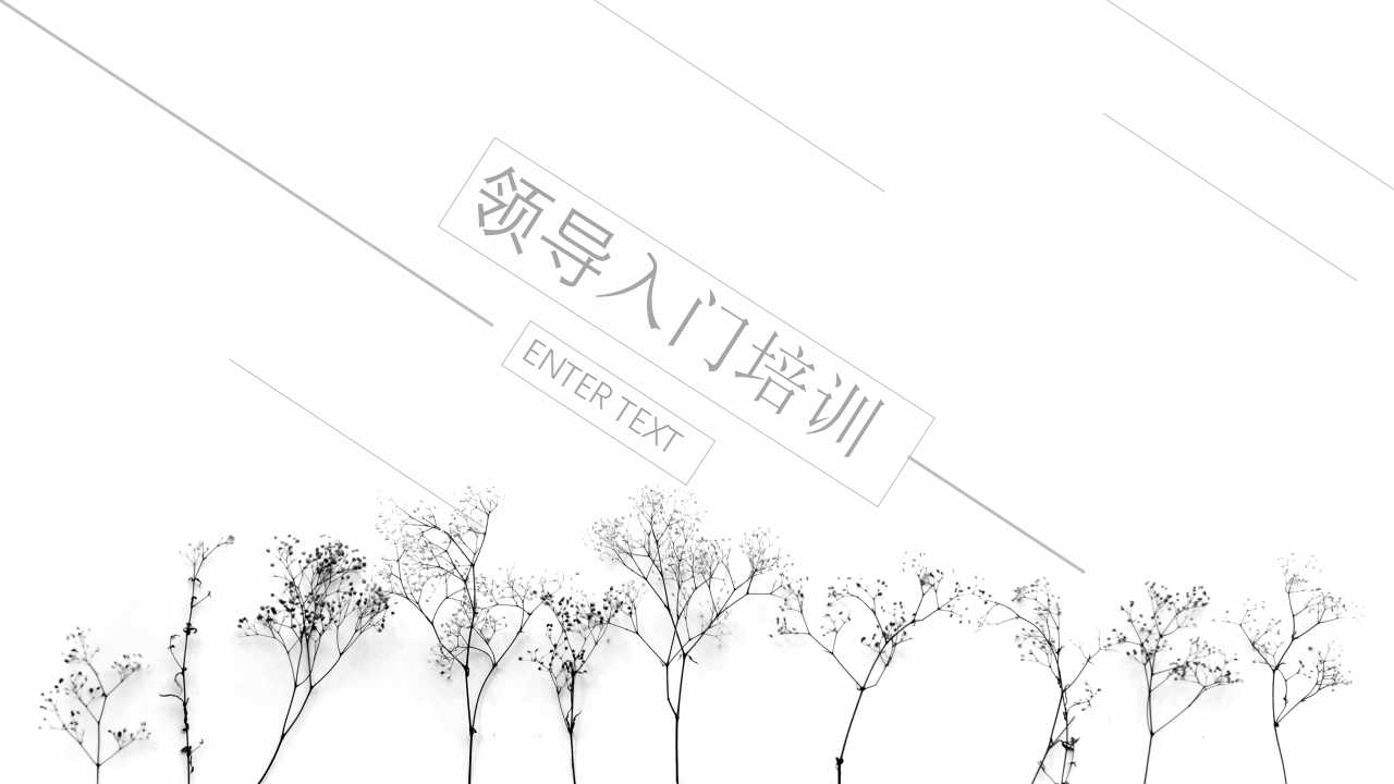 领导入门培训PPT课件