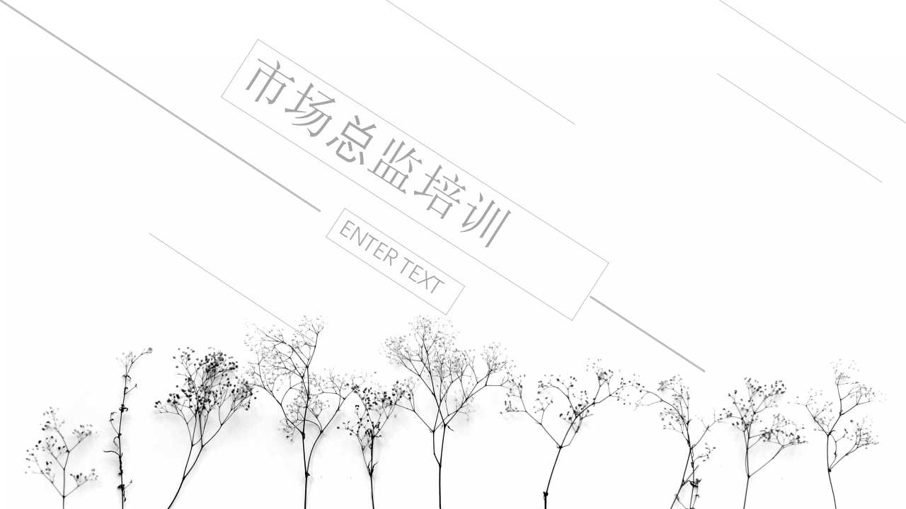 市场总监培训PPT课件