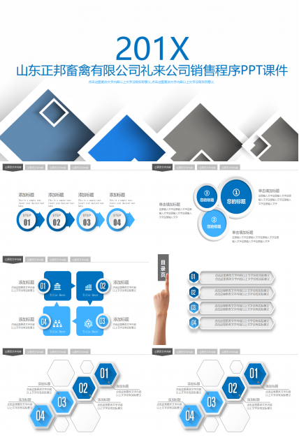 山东正邦畜禽有限公司礼来公司销售程序PPT课件