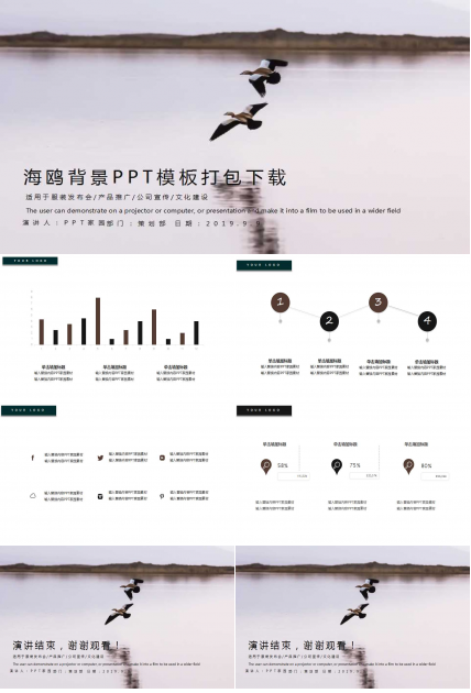 海鸥背景PPT模板打包下载