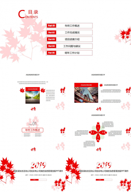 国际某知名咨询公司给彩电公司做的信息管理流程PPT课件