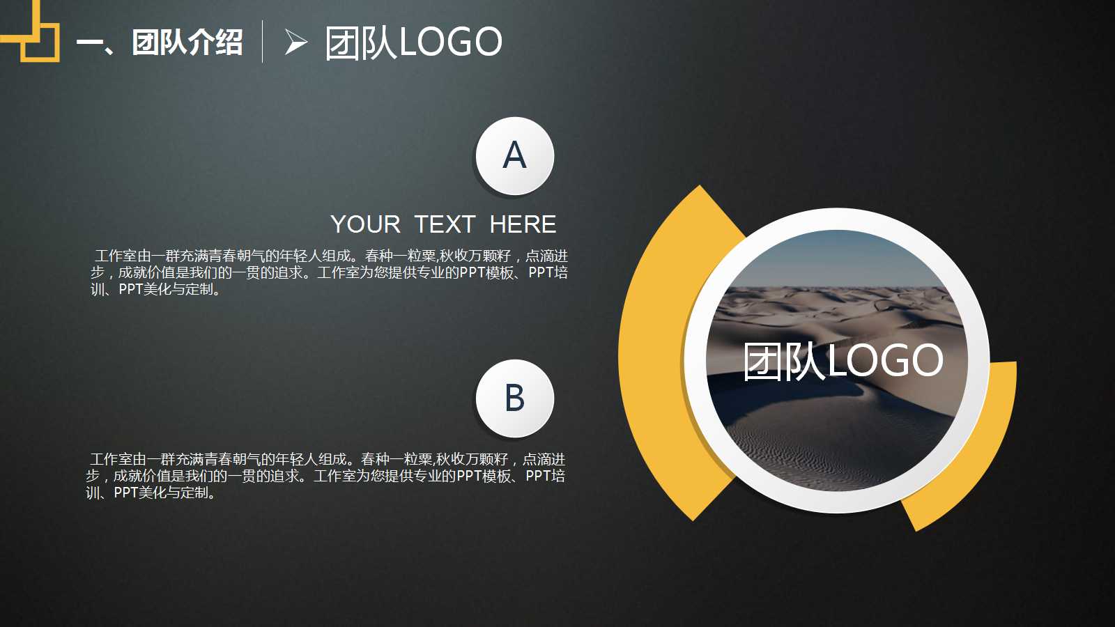 营销渠道策略PPT课件三