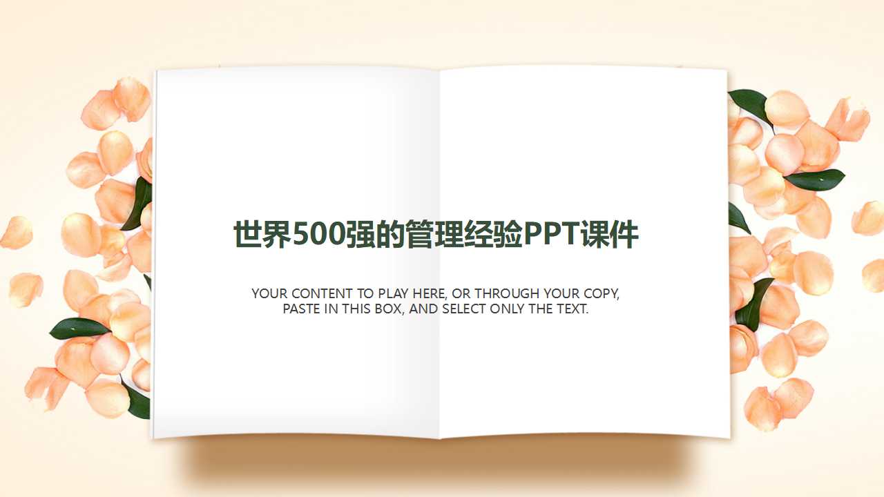 世界500强的管理经验PPT课件