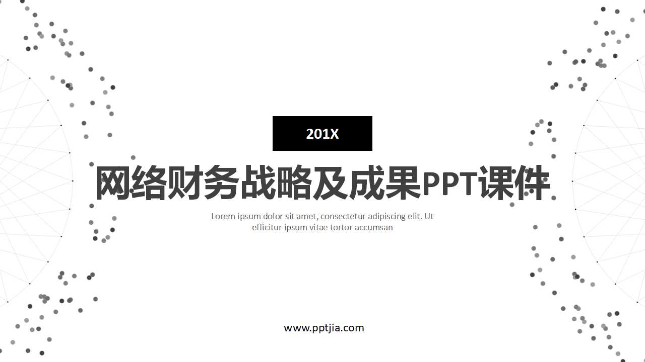 网络财务战略及成果PPT课件
