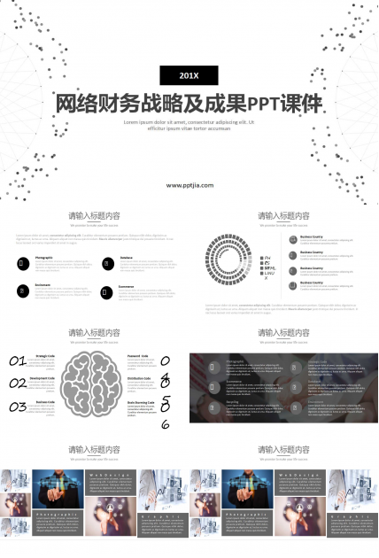 网络财务战略及成果PPT课件