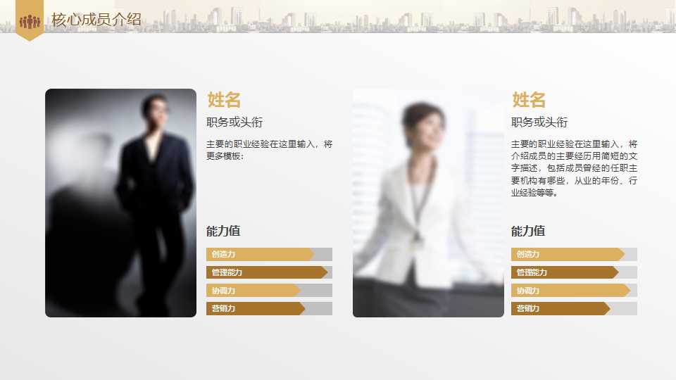 别墅项目整合管理案PPT课件