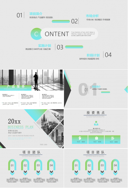 管理信息系统理论与实践PPT课件