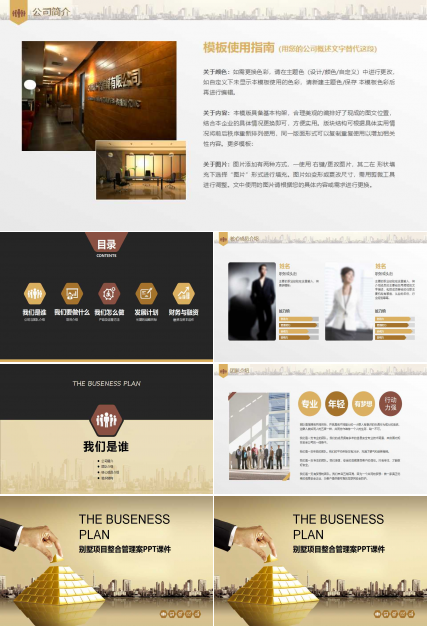 别墅项目整合管理案PPT课件