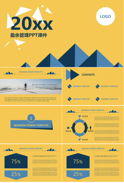 盈余管理PPT课件