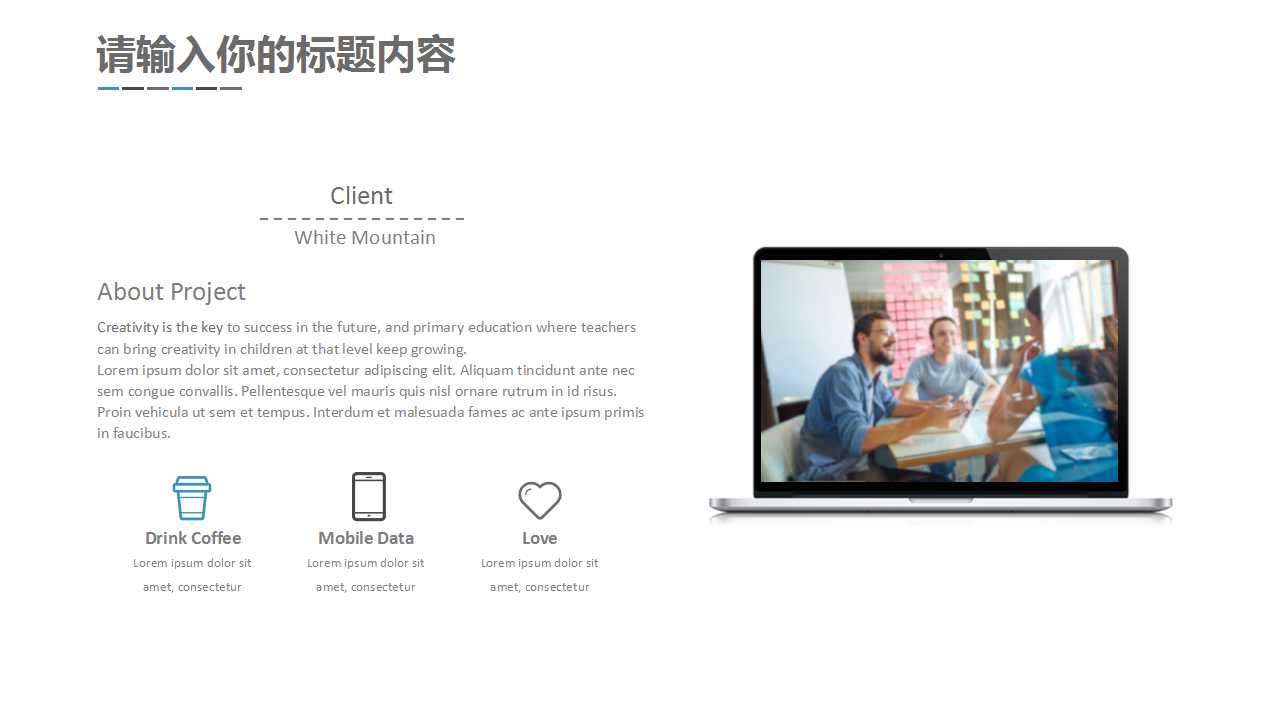 某信息网站服务内容PPT课件