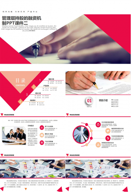 管理层持股的融资机制PPT课件二
